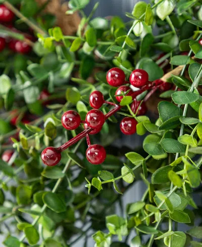 Glitzhome Christmas Greenery Dripping Eucalyptus Wreath And Matched Garlands, Set Of 3 In Multi