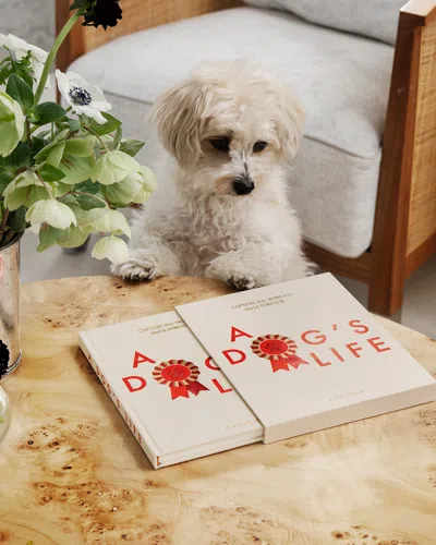 Printworks A Dog's Life