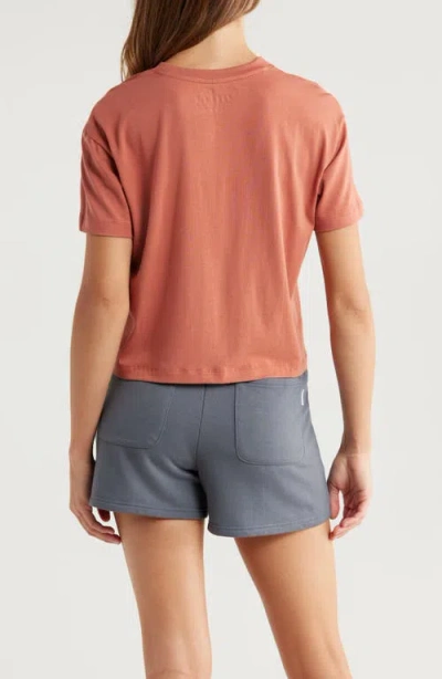 Free Fly Current Boxy T-shirt In Brown