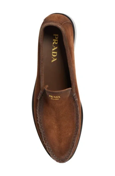 Prada Loafers With A Vintage-effect In Suede Leather In Animal Print