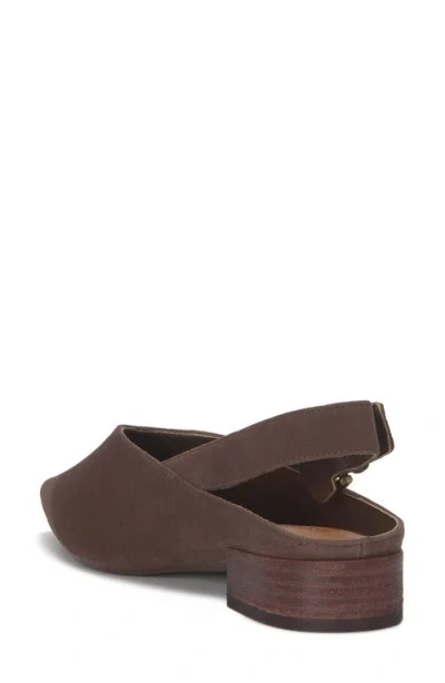 Lucky Brand Brigeet 2 Pointed Toe Pump In Brown