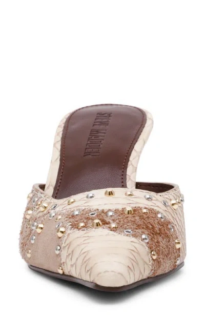 Steve Madden Alexi Pointed Toe Mule In Multi