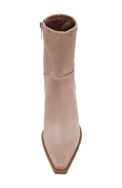 Steve Madden Stasia Pointed Toe Boot In Brown