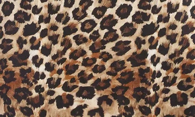 Karen Kane Plus Printed Side Slit Midi Skirt In Brown