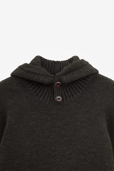 Lemaire Hooded Sweater Clothing In Brown
