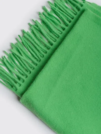 Samsoe & Samsoe Accola Maxi Scarf In Green