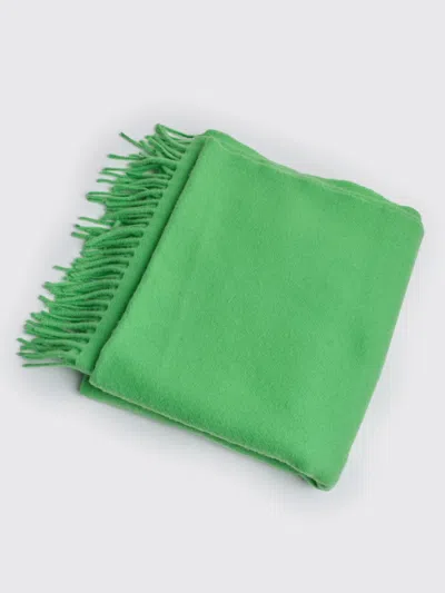 Samsoe & Samsoe Accola Maxi Scarf In Green