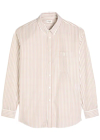 Saint Laurent Cassandre Shirt In Striped Cotton Poplin In Neutral