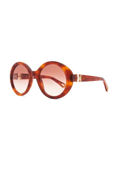 Chloé Marcie Sunglasses In Orange