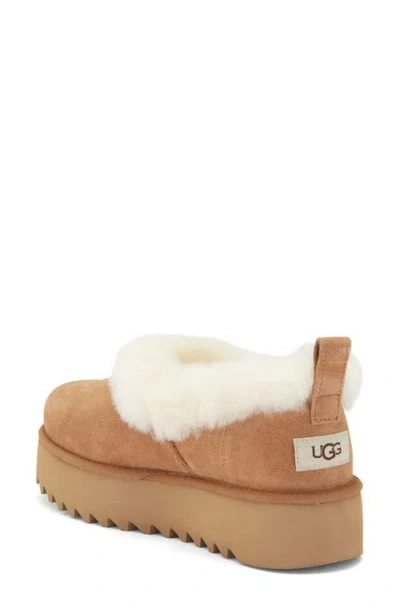 Ugg Tazzelle Logo Patch Slippers In Multi
