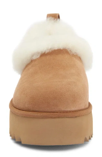 Ugg Tazzelle Logo Patch Slippers In Multi