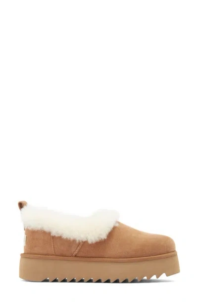 Ugg Tazzelle Logo Patch Slippers In Multi