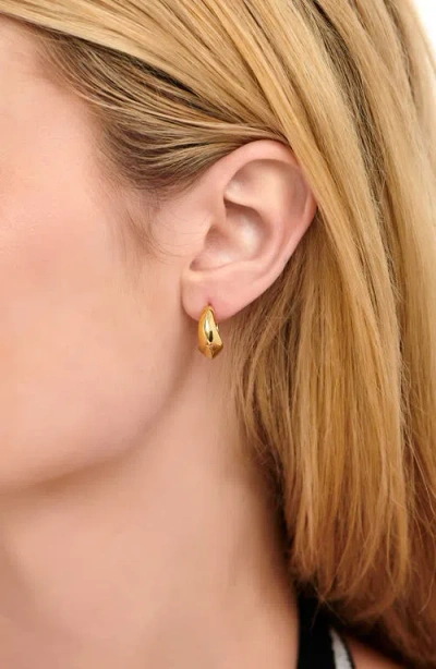 Devata Beveled Curve Hoop Earrings In Gold