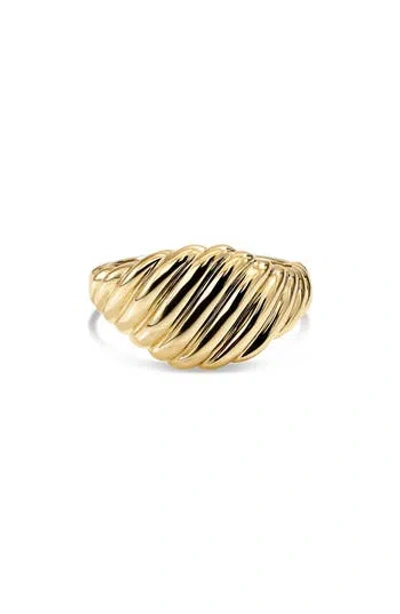 Devata Tapered Rope Band Ring In Gold