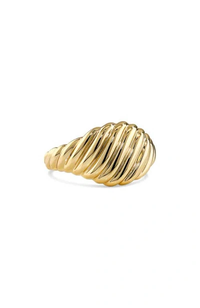 Devata Tapered Rope Band Ring In Gold