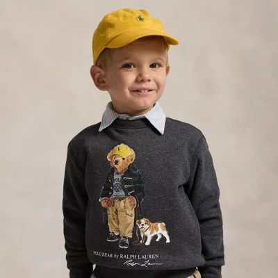 Polo Ralph Lauren Kids Polo Bear Crewneck Sweatshirt In Gray