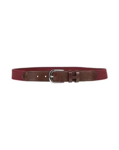 Hackett Man Belt Burgundy Size L Polyester, Rubber, Cow Leather In Brown