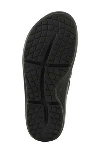 Flexus By Spring Step Osmar Flip Flop In Black