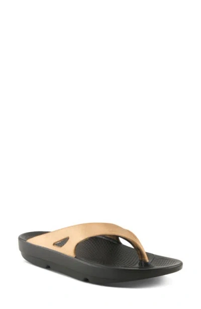 Flexus By Spring Step Osmar Flip Flop In Black