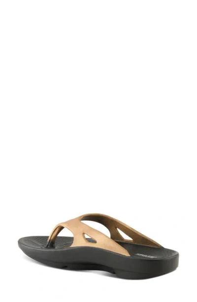 Flexus By Spring Step Osmar Flip Flop In Black