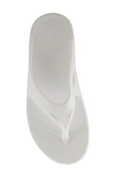 Flexus By Spring Step Osmar Flip Flop In White