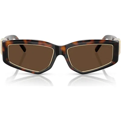 Tiffany & Co . 55mm Pillow Sunglasses In Brown