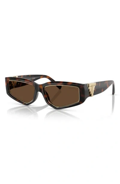 Tiffany & Co . 55mm Pillow Sunglasses In Brown