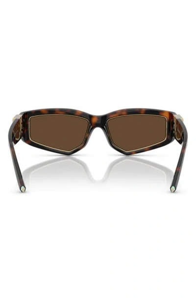 Tiffany & Co . 55mm Pillow Sunglasses In Brown