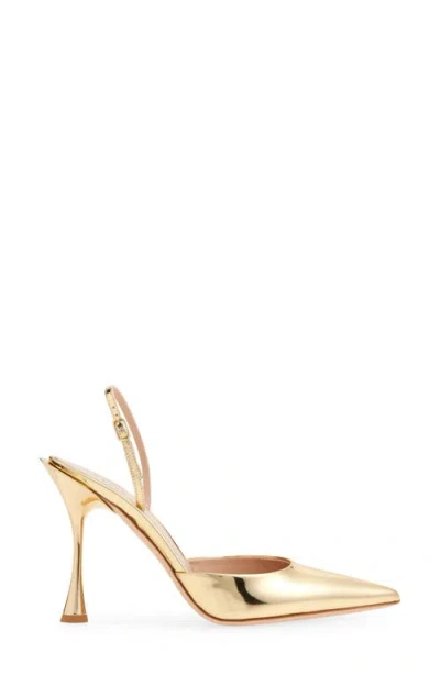 Betzábe Sofia Pointed Toe Slingback Pump In Gold
