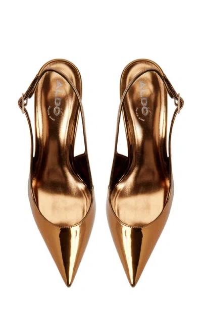 Aldo Seralina In Bronze In Gold