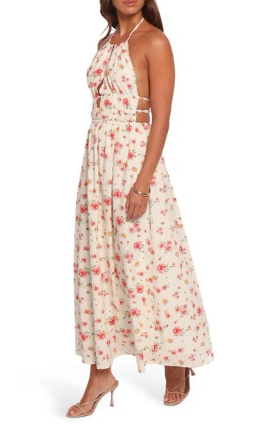 Petal And Pup Petal & Pup Wilder Floral Maxi Halter Sundress In Pink