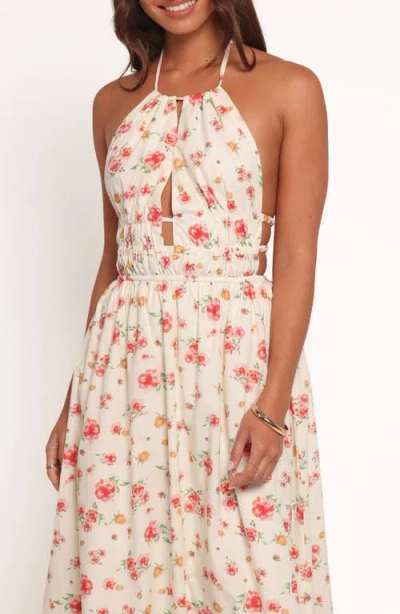 Petal And Pup Petal & Pup Wilder Floral Maxi Halter Sundress In Pink