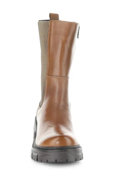 Bos. & Co. Brunas Waterproof Chelsea Boot In Brown