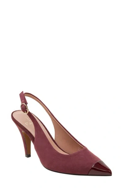 Linea Paolo Niyka Pointed Toe Slingback Pump In Burgundy