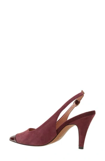 Linea Paolo Niyka Pointed Toe Slingback Pump In Burgundy