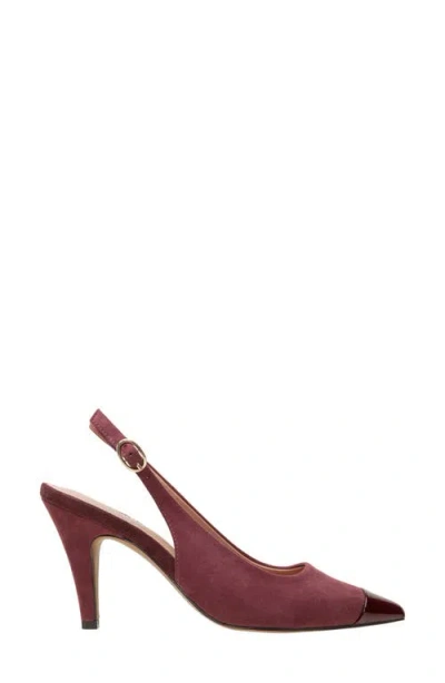 Linea Paolo Niyka Pointed Toe Slingback Pump In Burgundy