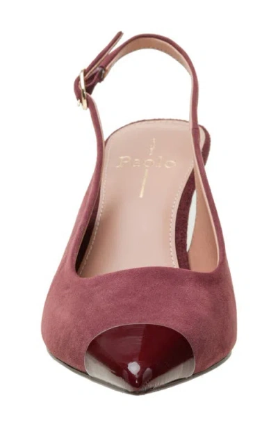 Linea Paolo Niyka Pointed Toe Slingback Pump In Burgundy