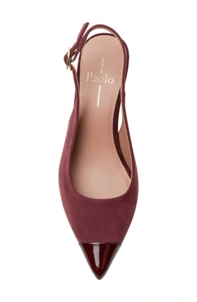 Linea Paolo Niyka Pointed Toe Slingback Pump In Burgundy