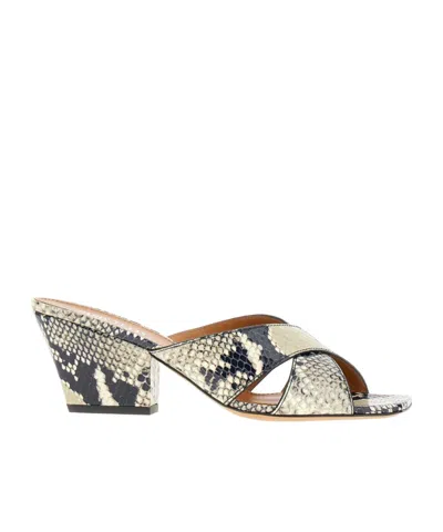 Paris Texas Arizona Snake-embossed Leather Mule Sandals In Multi