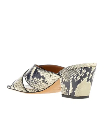 Paris Texas Arizona Snake-embossed Leather Mule Sandals In Multi