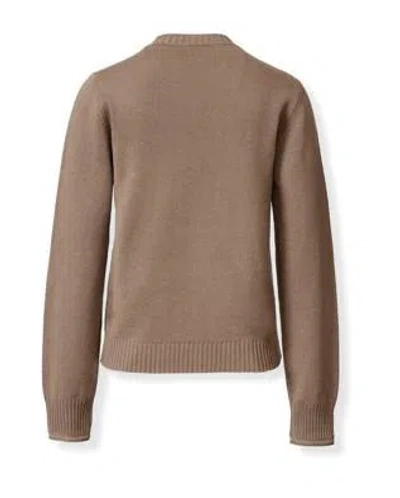 Fabiana Filippi Sweaters Corteccia In Brown