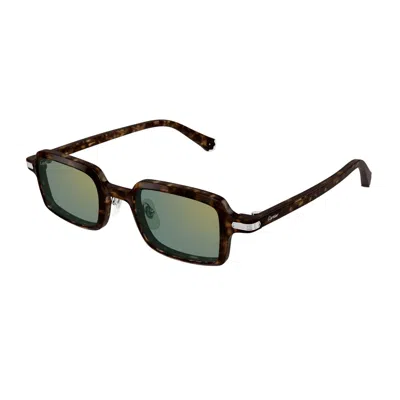 Cartier Ct0539s Première De Sunglasses In Brown