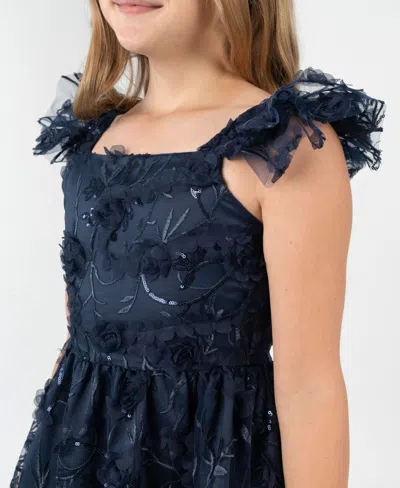 Rare Editions Toddler And Little Girls 3d Floral Embroidery Social Dress In Blue