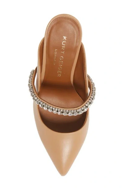 Kurt Geiger London Duke Crystal Strap Pointed Toe Mule In Brown