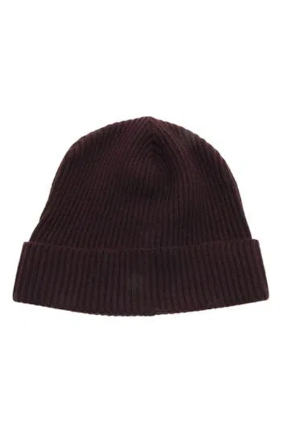 Portolano Merino Wool Rib Cuff Beanie In Brown