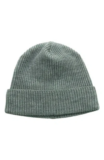 Portolano Merino Wool Rib Cuff Beanie In Green