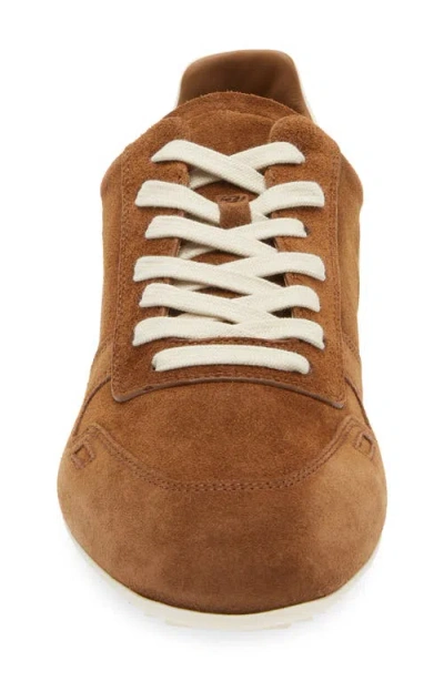 Rick Owens Concordians Minimal Sneak Sneaker In Brown