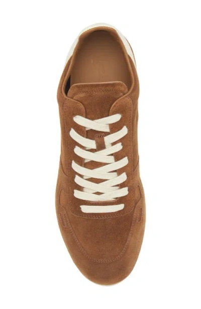Rick Owens Concordians Minimal Sneak Sneaker In Brown