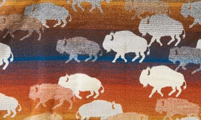 Pendleton Prairie Rush Hour Virgin Wool & Cotton Throw In Brown