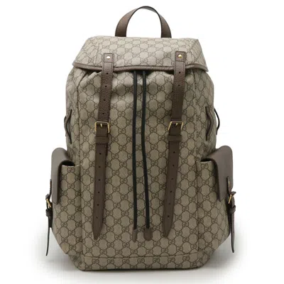 Pre-owned Gucci Sherry Line Beige Brown Green Red Color Pvc Leather Backpack ()